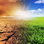 Climate Change: FG Reaffirms Commitment to Low Carbon Emissions